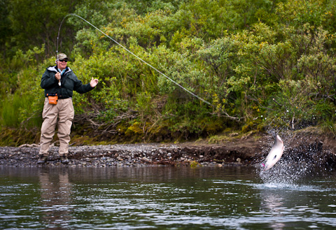 Alaska West Jumping Coho