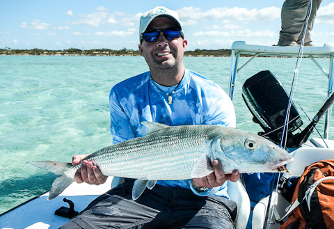 Big Bonefish