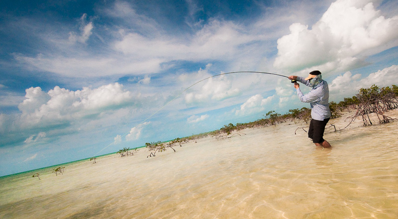 Wading for Bonefish