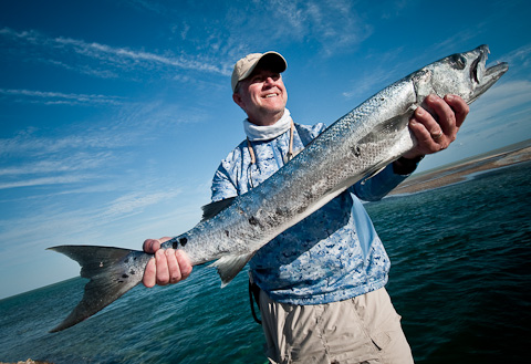 South Andros Barracuda - Louis Cahill Photography
