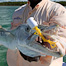 Thumbnail image for Barracuda Fly Presentation