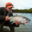 Thumbnail image for Just Another Silver Salmon