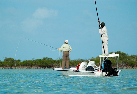 Sidan kunde inte hittas | Piratstudenterna