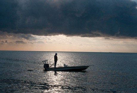 Skiffs in Action At the ready. Photo: Louis Cahill