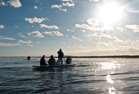 Skiffs in Action Heading out. Photo: Louis Cahill