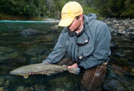 Looks like a salmon here, doesn't it?
