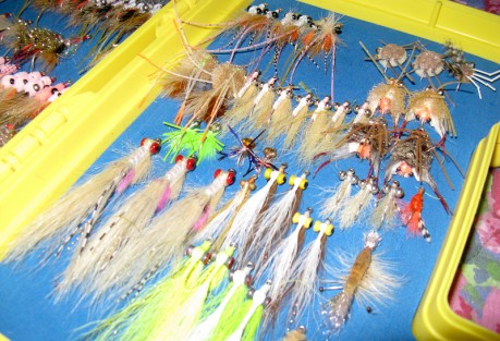 Anglers All Trip Report A well-stocked box. Photo: Gary Thompson