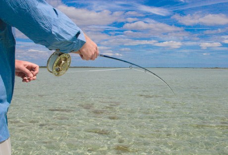 Bonefishing Tips - Mediocre Angler Line leaving reel, quickly. Photo: Ned Desmond