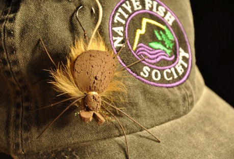 Mr. Hanky Mr. Hanky got abused...he must work! Photo: Jeff Hickman