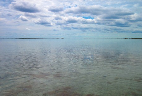 Tailing Bonefish Video When it's this calm, you better look for tails.