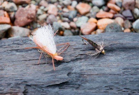 Chubby Chernobyl and 20 incher A match made in heaven.
