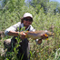 Thumbnail image for Johnny Spillane – Skier, Angler