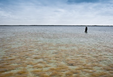Wading for Bonefish If you can't see, stop walking. Photo: Louis Cahill