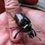 Thumbnail image for Stumblin’ Bumblin’…
