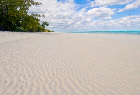 We'll get to bonefish, and rum, later.  Photo: Louis Cahill