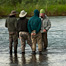 Thumbnail image for Swinging Flies – Cast, Then Step.