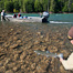 Thumbnail image for Lettin’ One Swim