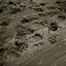Thumbnail image for Bear Highway