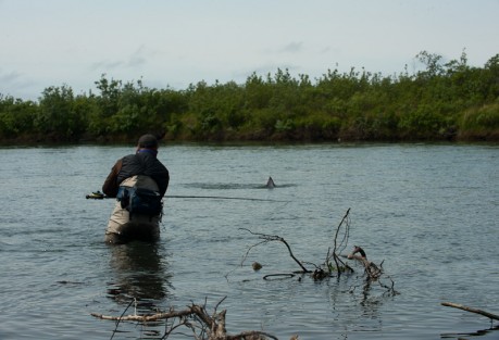 Fighting Big Fish Rod tip low - nice work, George. Photo: Cameron Miller
