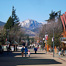 Thumbnail image for Springtime in Chile