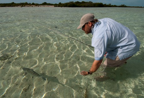 Andy Bowen Releases Bonefish Andy says goodbye to his new friend.
