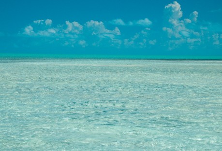 Bonefish and Tides Just a couple out there.