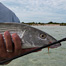 Thumbnail image for Top Bonefishing Posts of 2010