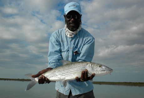 Bonefish - Al Conklin Bonefish - Al Conklin