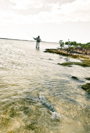 Casting Tips for Bonefish Now would be a good time. Photo: Louis Cahill