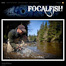 Thumbnail image for Focal Fish: Check it Out