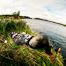Thumbnail image for Nap Time.