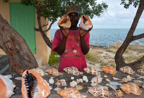 Shell Man Shell Man