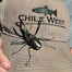 Thumbnail image for Bring on the Beetle