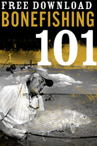 Bonefishing 101
