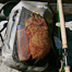 Thumbnail image for Waterproof Backpacks for Wading