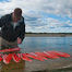 Thumbnail image for Frankenfish Are Bad.