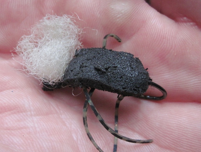 cantaria beetle fly pattern