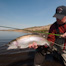 Thumbnail image for Lake Fly Fishing Introduction