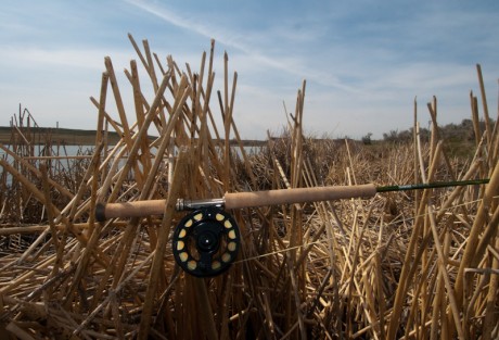 Lake Fishing - Switch Rods