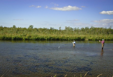 Favorite Fishing Tips