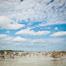 Thumbnail image for Sage VXP Review