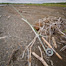 Thumbnail image for Sage TCX Switch Rod Review