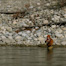 Thumbnail image for Three Good Articles