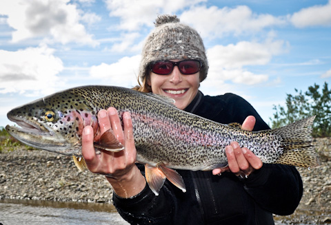 Alaska Rainbow Trout