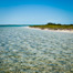 Thumbnail image for Bonefish T-Shirt Winner
