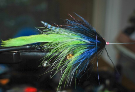 Whitney Gould's King Rig
