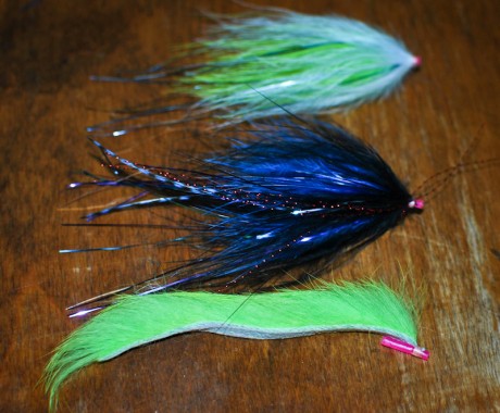 Whitney Gould's King Rig