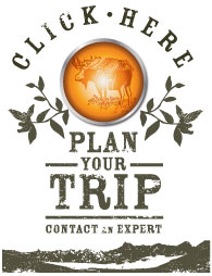 Plan Your Trip