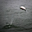 Thumbnail image for Nice Vertical.