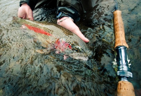 Fishing Gear by Louis Cahill Photography